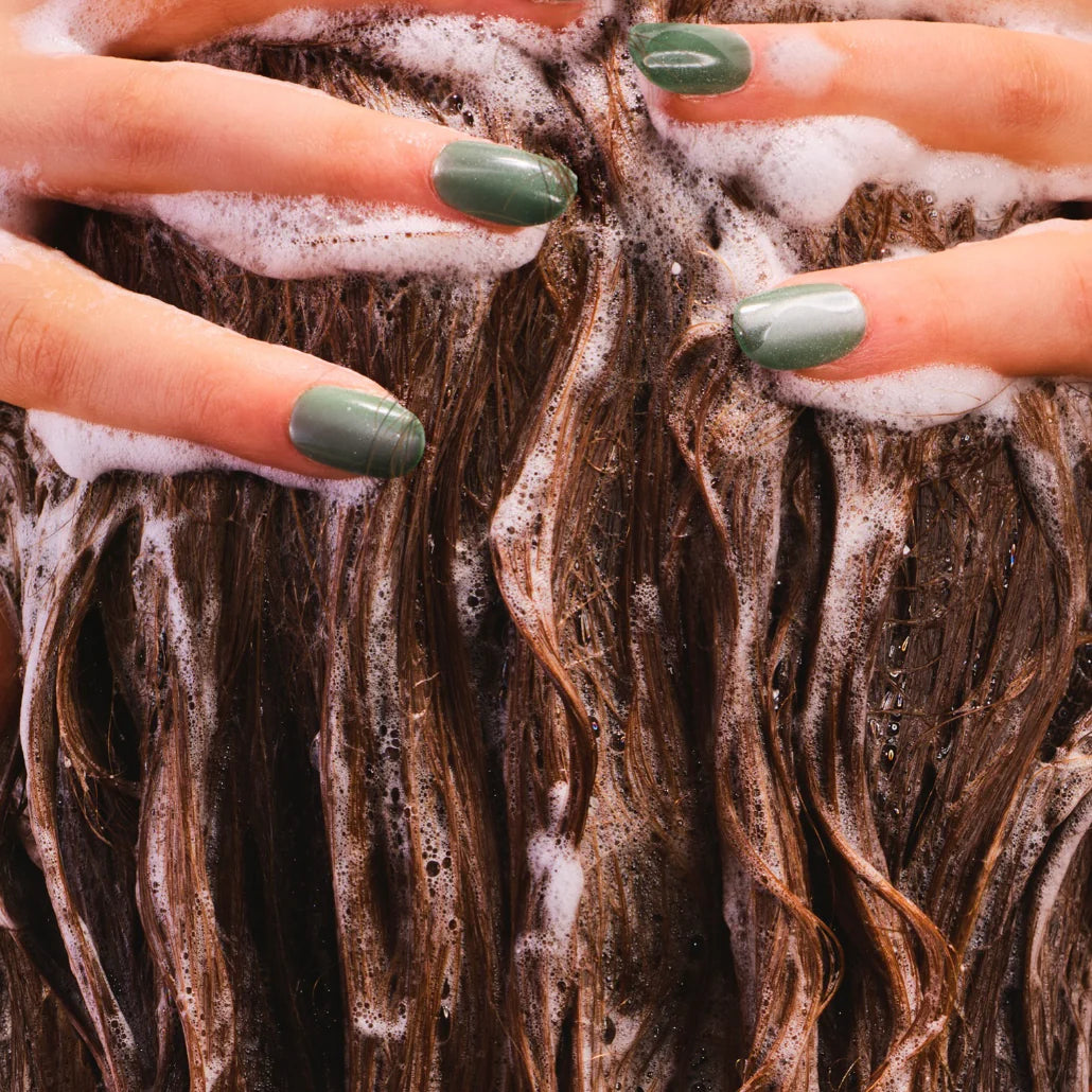 Closeup of someone washing their hair