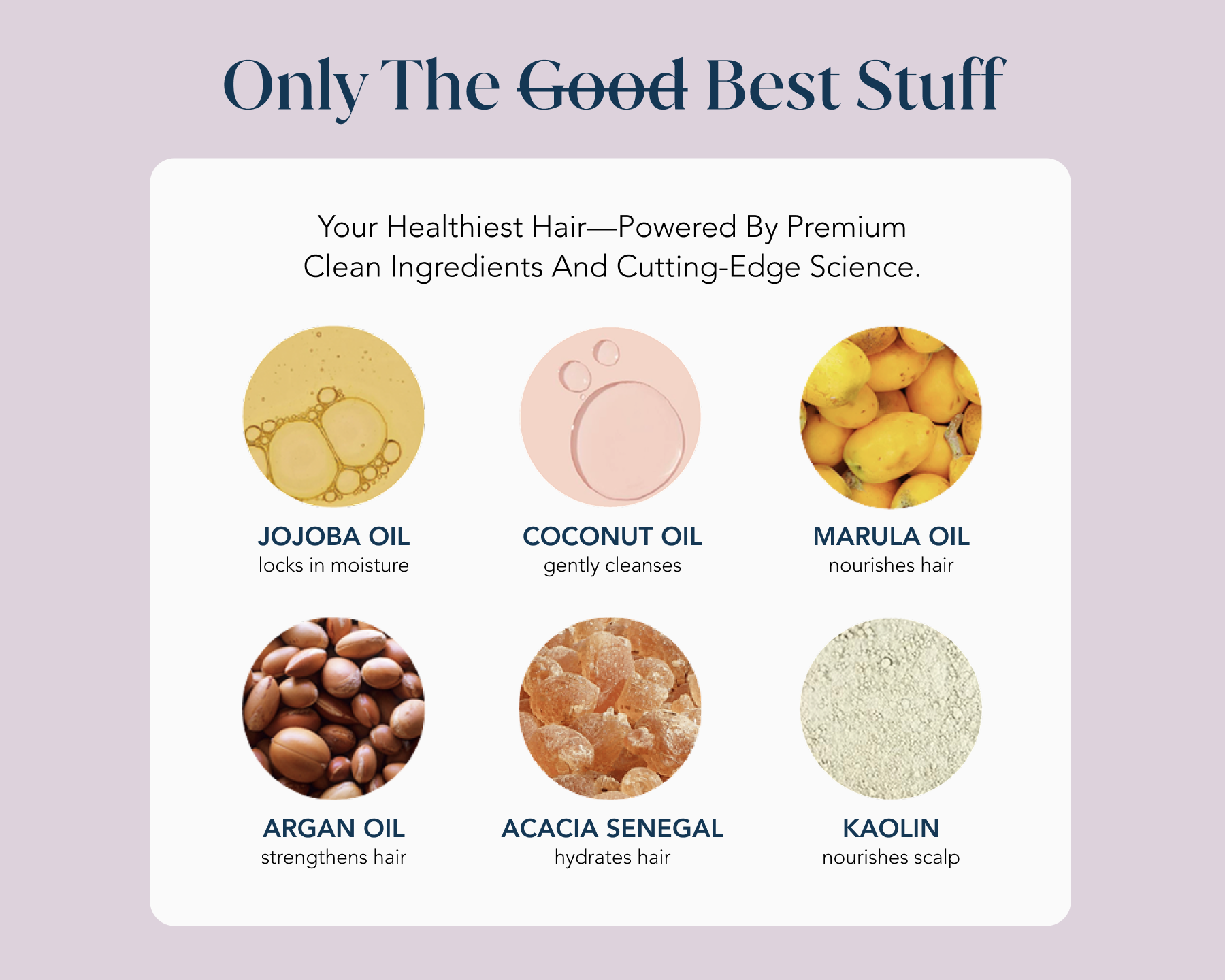 List of hair care ingredients with icons and descriptions with the headline 