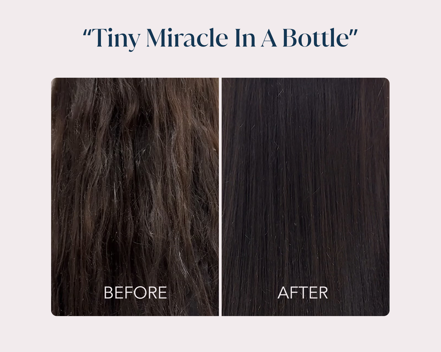 Signature Shampoo